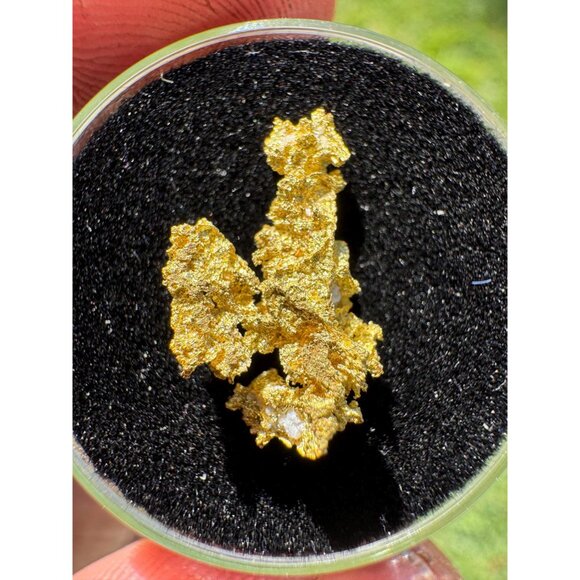 California Native Gold Crystal -  0.93 grams - Picture 5 of 5
